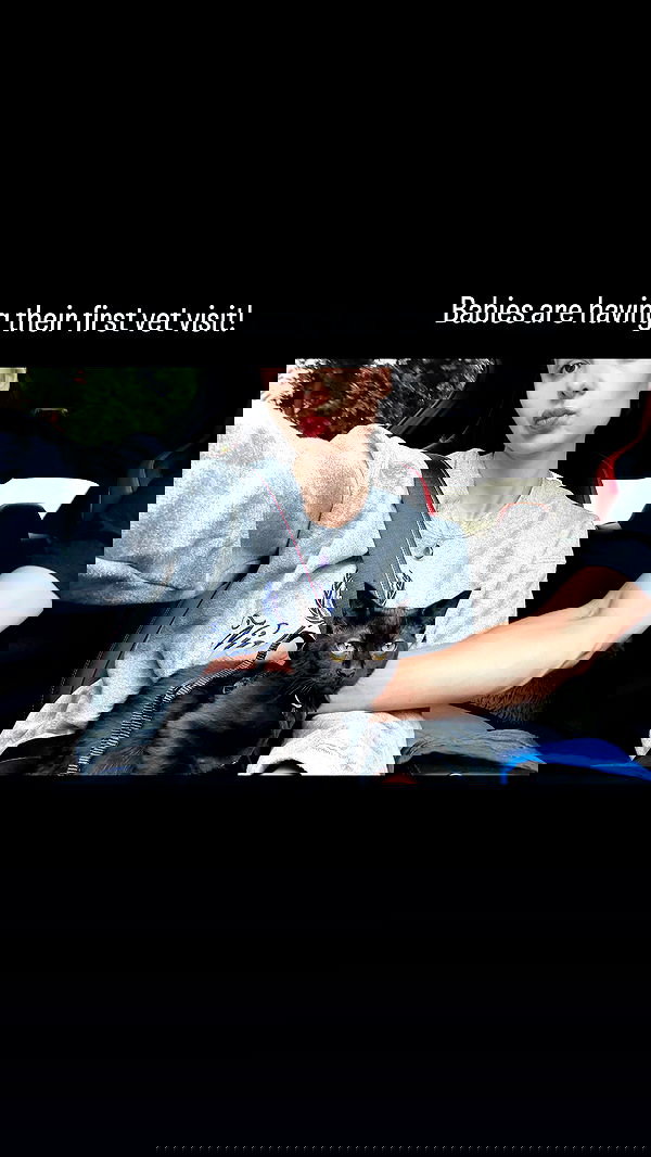 sophiemudd sophiemudd archive image