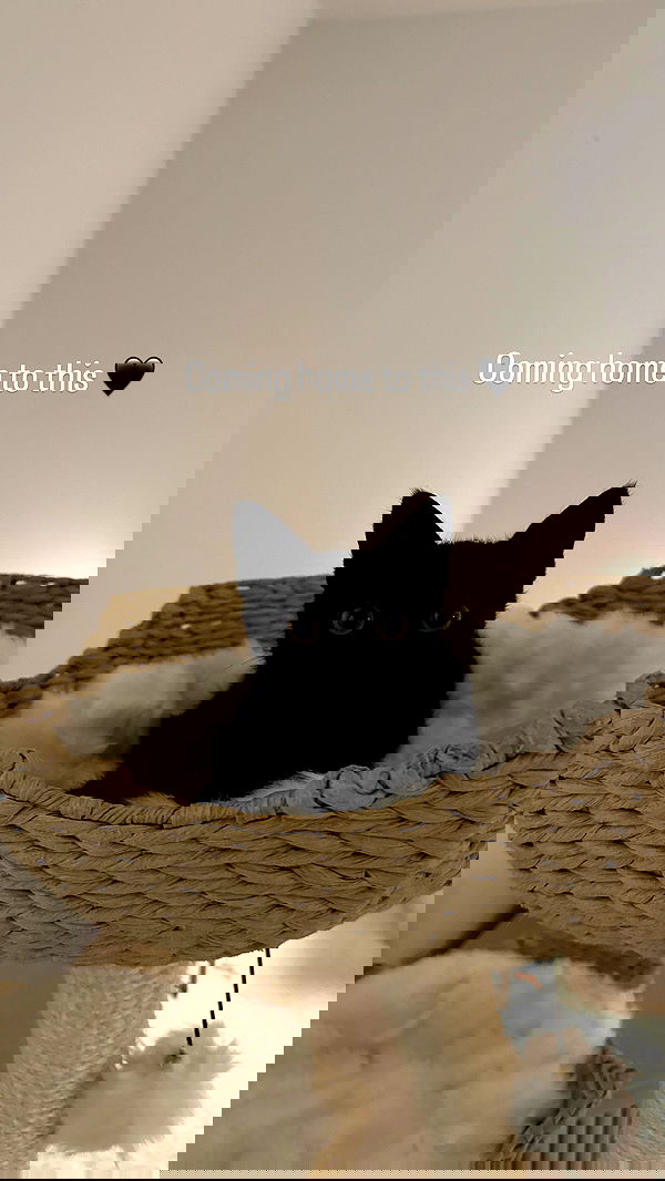 sophiemudd sophiemudd archive image