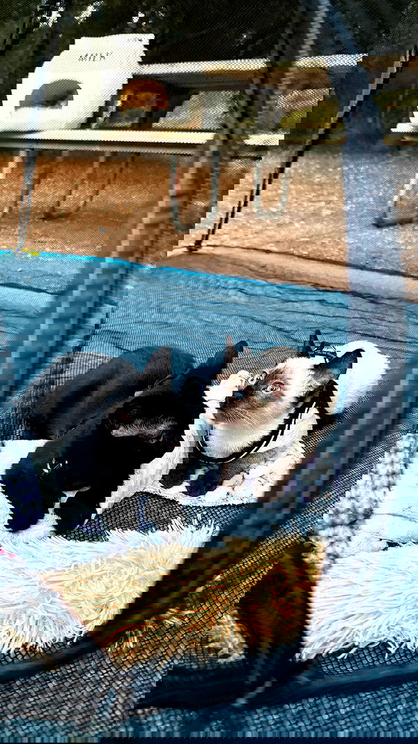 sophiemudd sophiemudd archive image