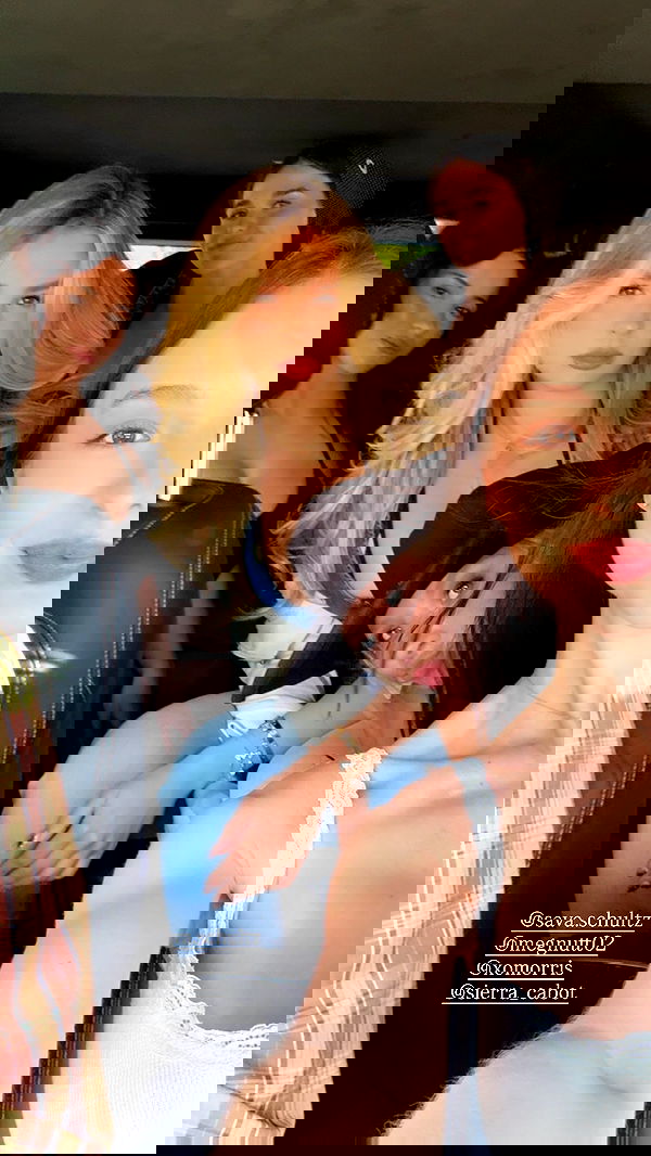 sophiemudd sophiemudd archive image