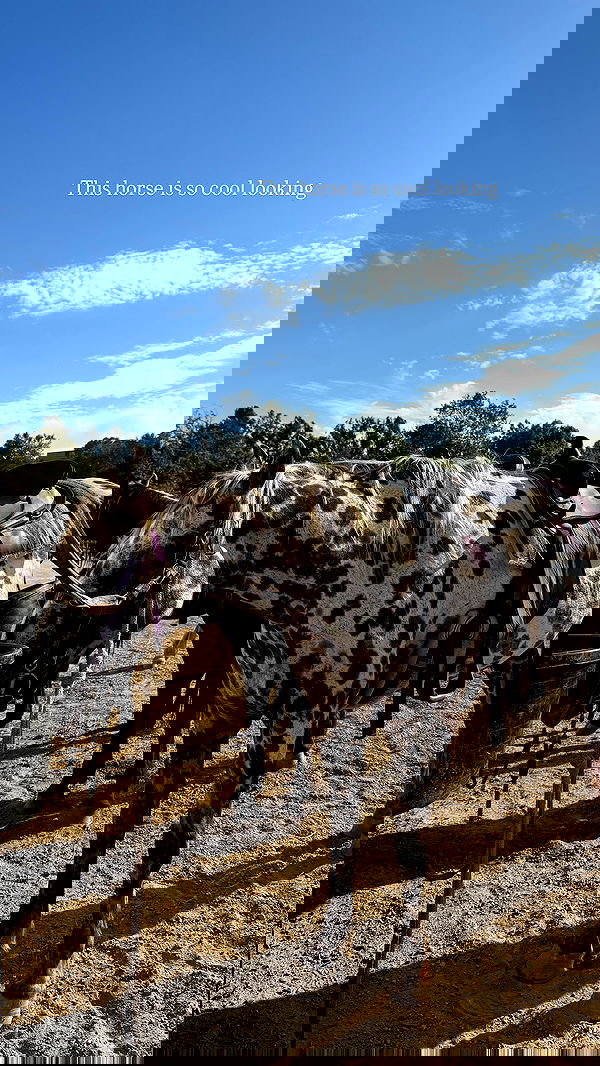 sophiemudd sophiemudd archive image