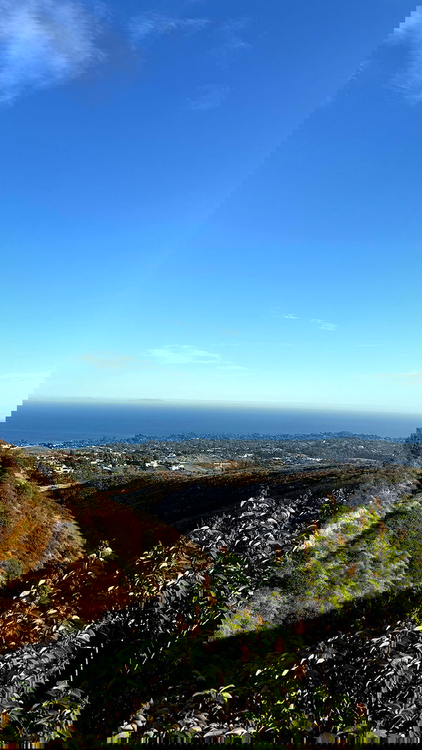 sophiemudd sophiemudd archive image