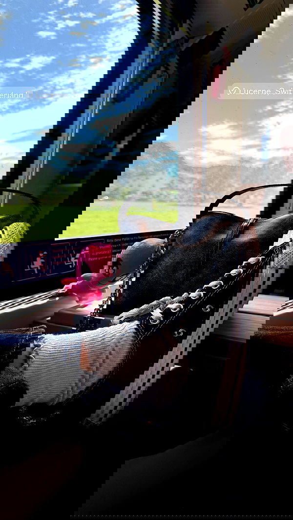 sophiemudd sophiemudd archive image