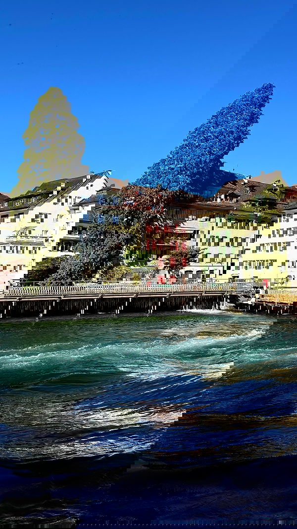 sophiemudd sophiemudd archive image