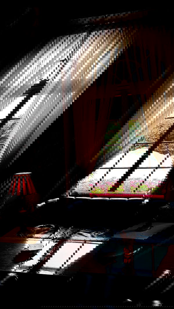 sophiemudd sophiemudd archive image