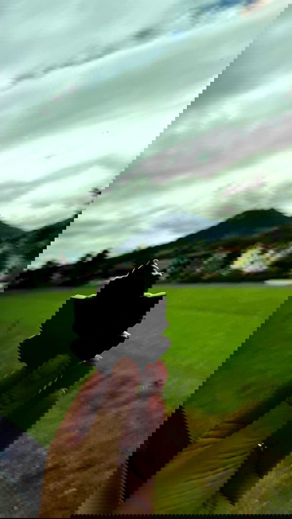 sophiemudd sophiemudd archive image