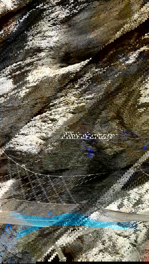 sophiemudd sophiemudd archive image