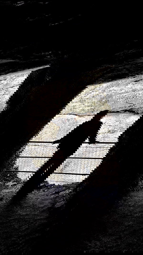 sophiemudd sophiemudd archive image