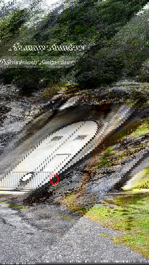 sophiemudd sophiemudd archive image