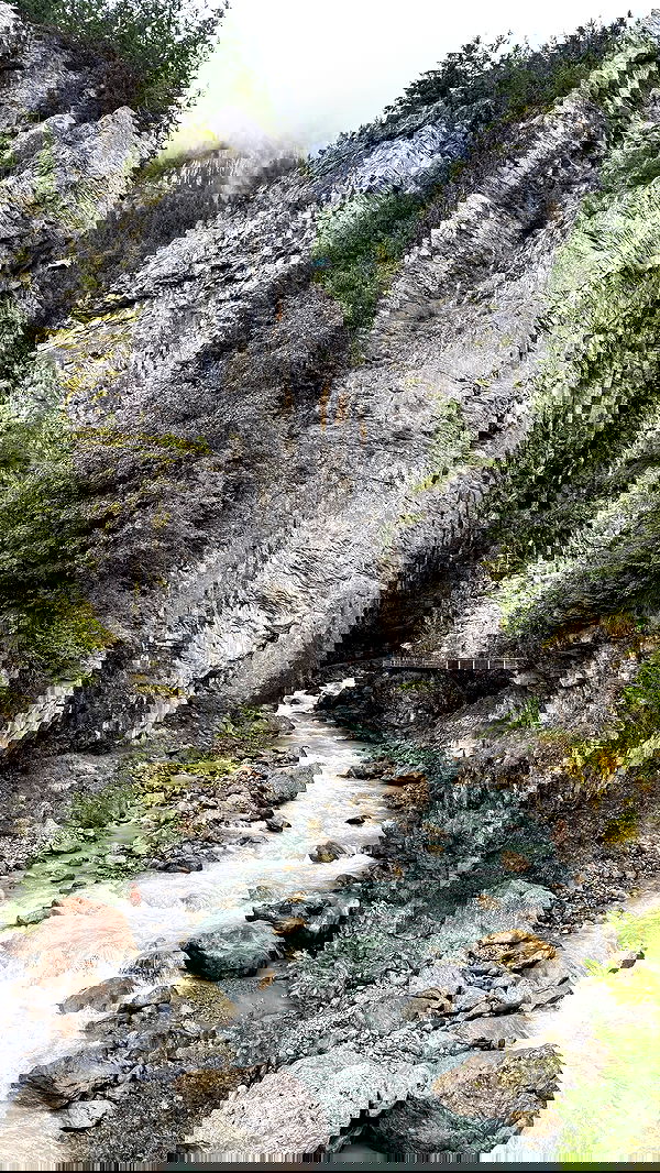 sophiemudd sophiemudd archive image