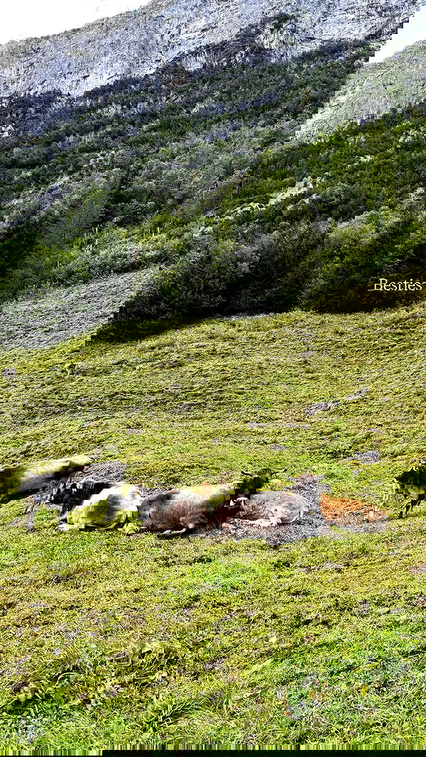 sophiemudd sophiemudd archive image