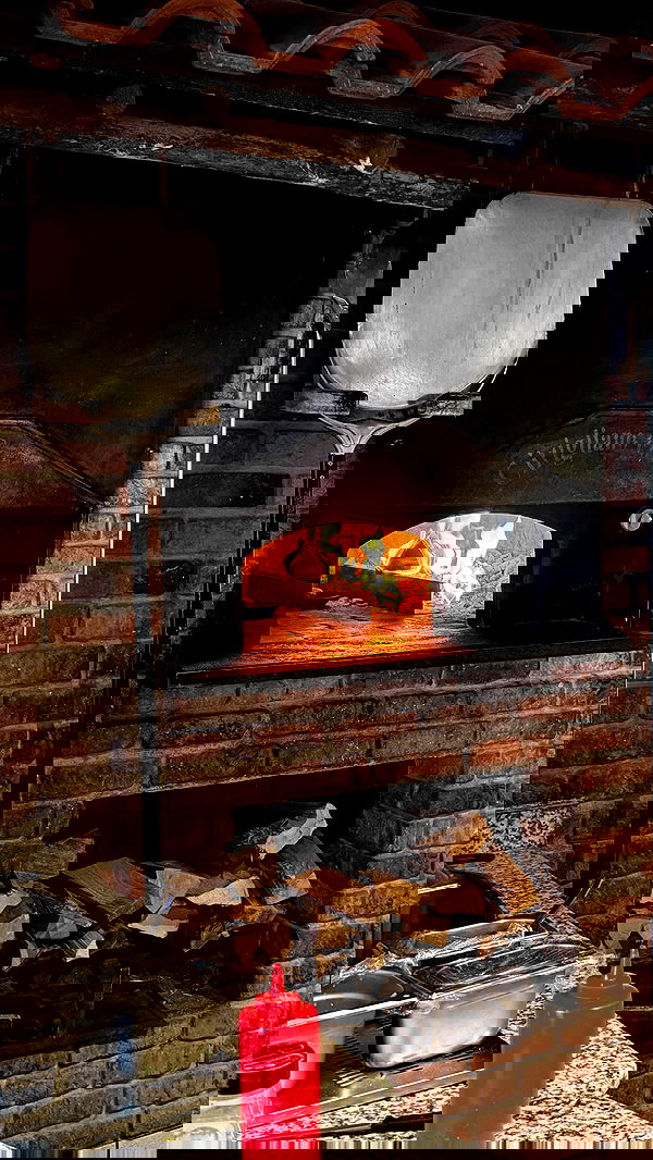 sophiemudd sophiemudd archive image