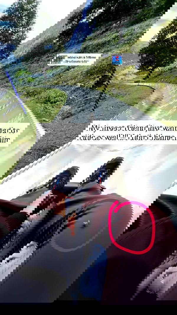 sophiemudd sophiemudd archive image