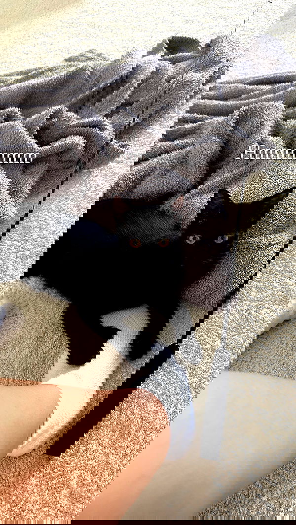 sophiemudd sophiemudd archive image