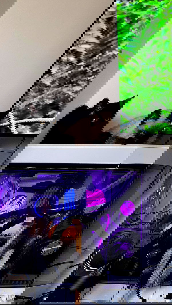 sophiemudd sophiemudd archive image