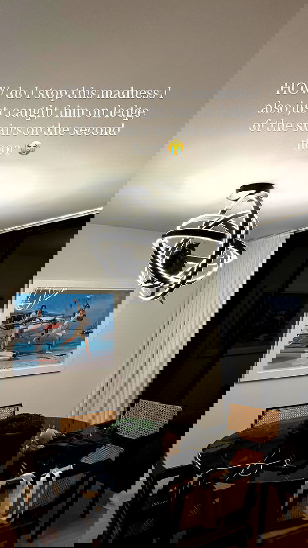 sophiemudd sophiemudd archive image