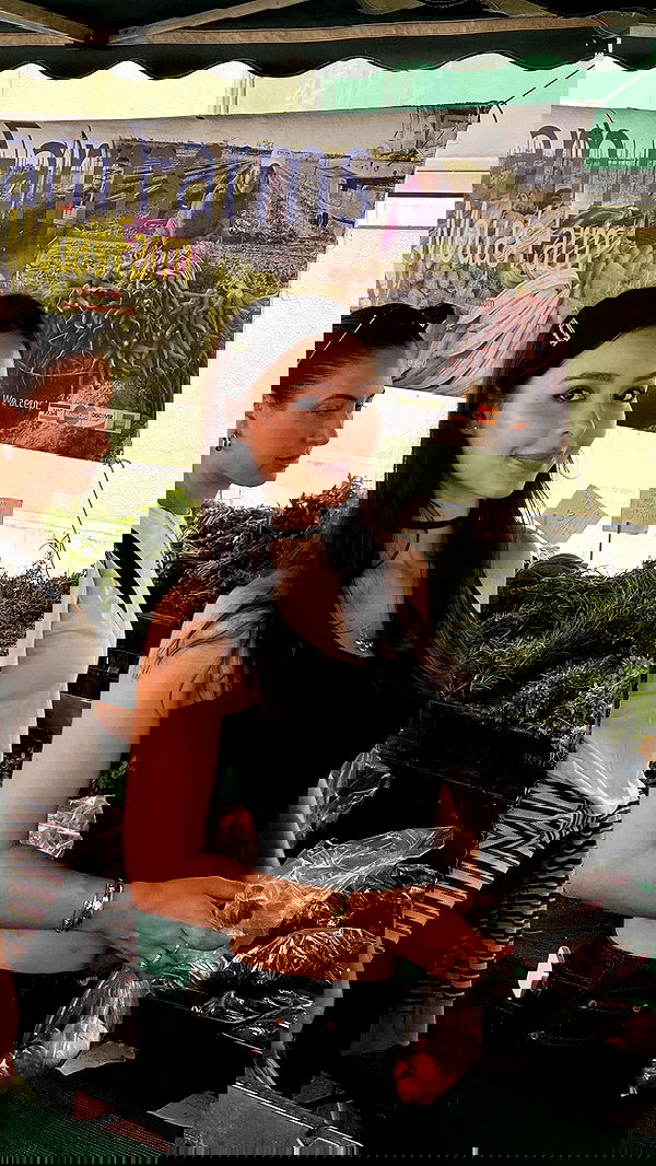 sophiemudd sophiemudd archive image