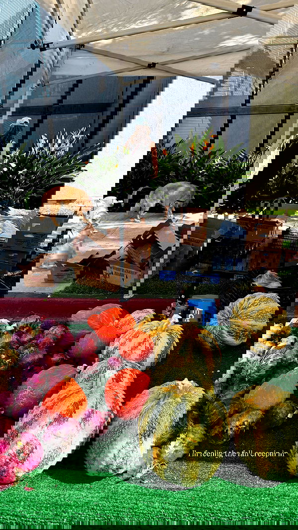 sophiemudd sophiemudd archive image