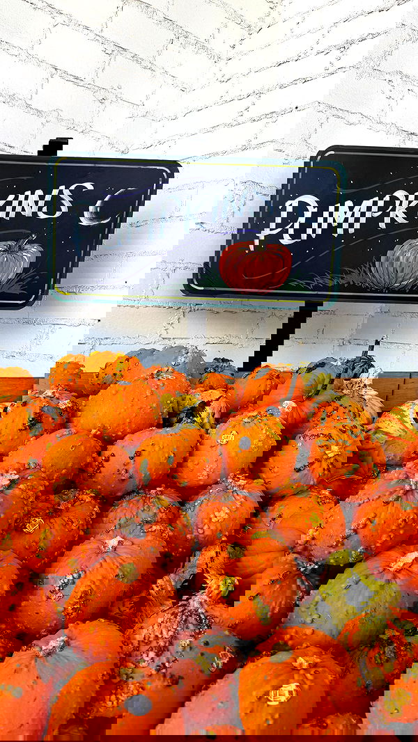 sophiemudd sophiemudd archive image