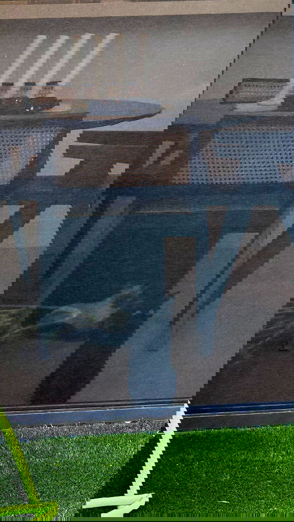 sophiemudd sophiemudd archive image