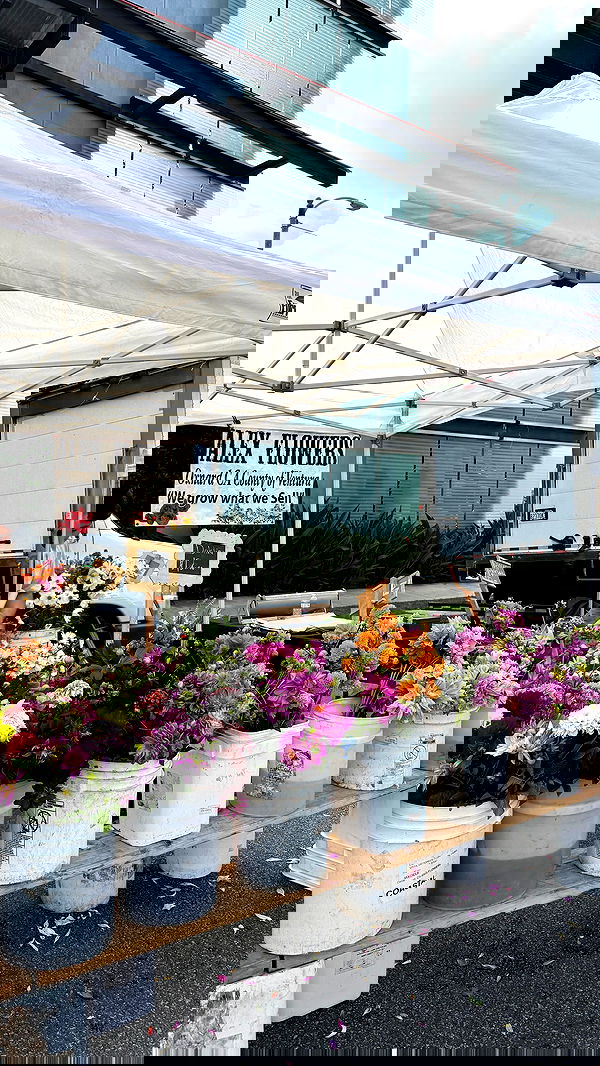 sophiemudd sophiemudd archive image