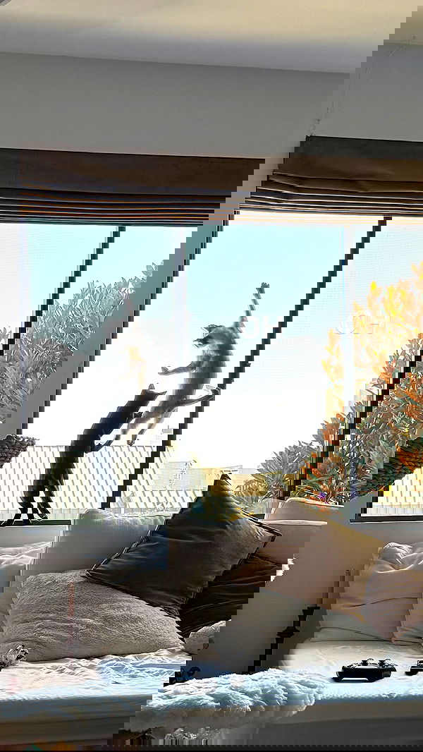 sophiemudd sophiemudd archive image