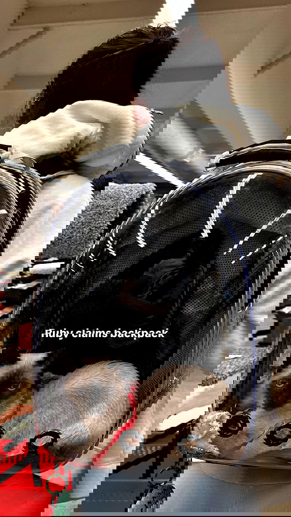 sophiemudd sophiemudd archive image