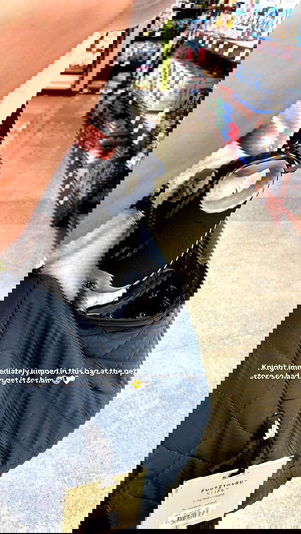 sophiemudd sophiemudd archive image