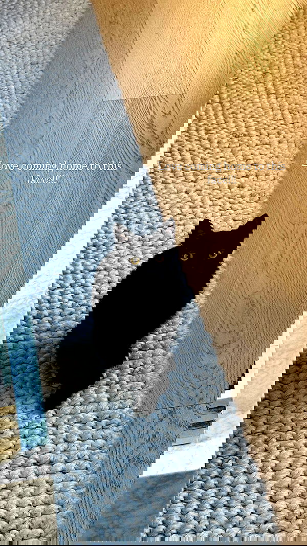 sophiemudd sophiemudd archive image