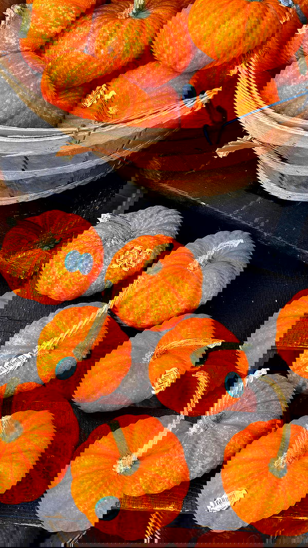 sophiemudd sophiemudd archive image