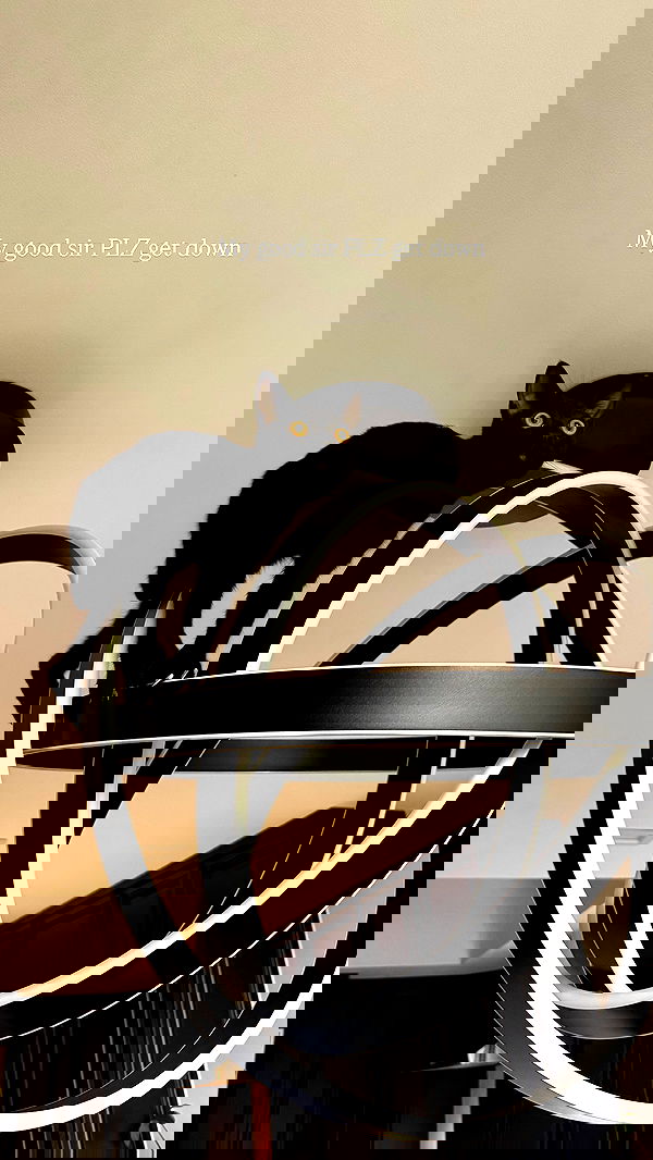 sophiemudd sophiemudd archive image