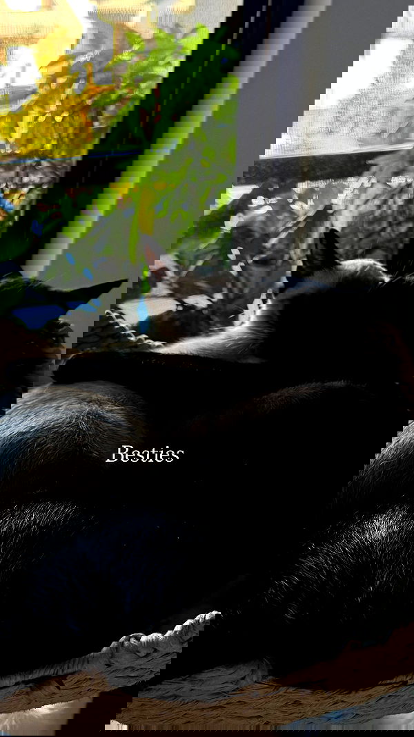 sophiemudd sophiemudd archive image