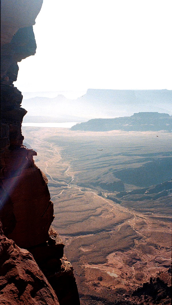 stateofrachel stateofrachel archive image