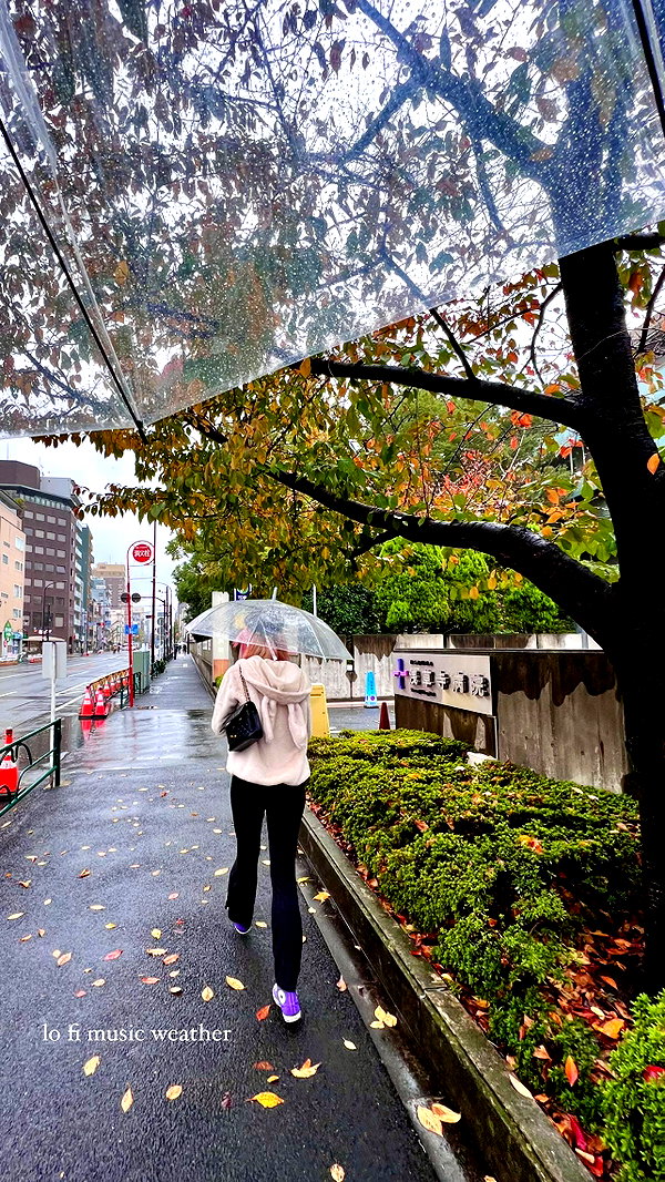 stateofrachel instagram image archive image