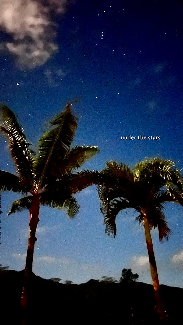 stateofrachel instagram image archive image