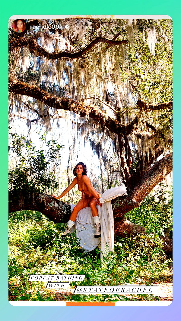 stateofrachel instagram image archive image