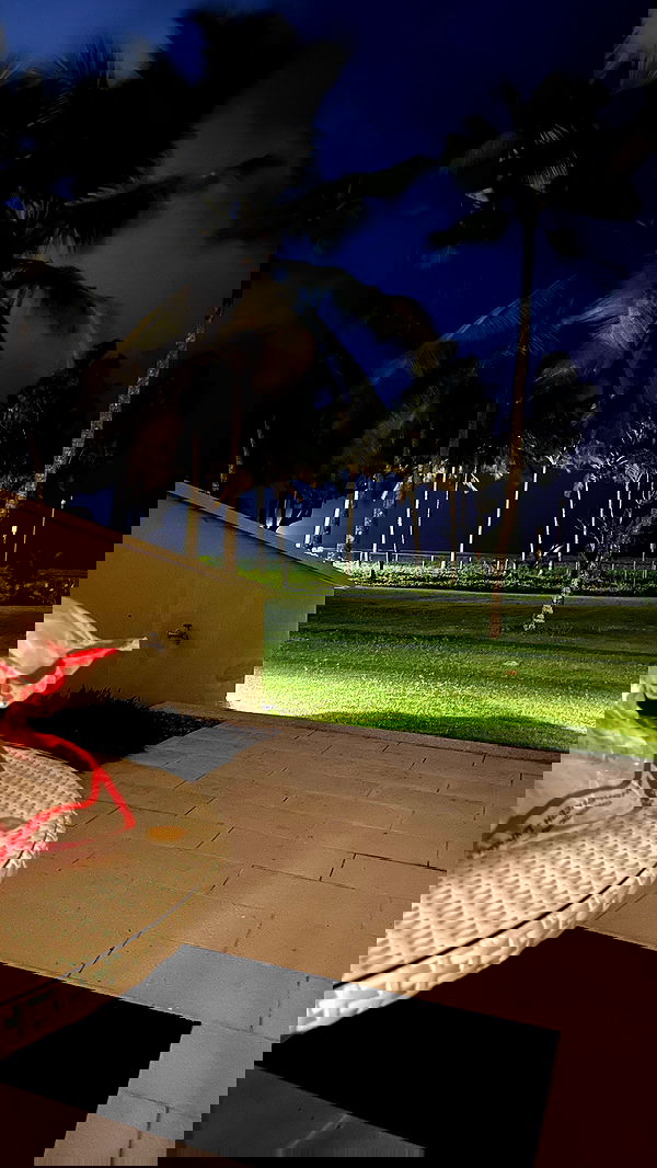 stepanovaofficial stepanovaofficial archive image