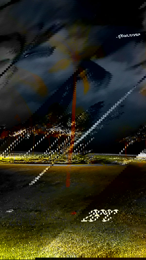 stepanovaofficial stepanovaofficial archive image