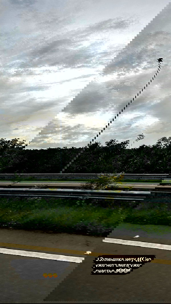 stepanovaofficial stepanovaofficial archive image