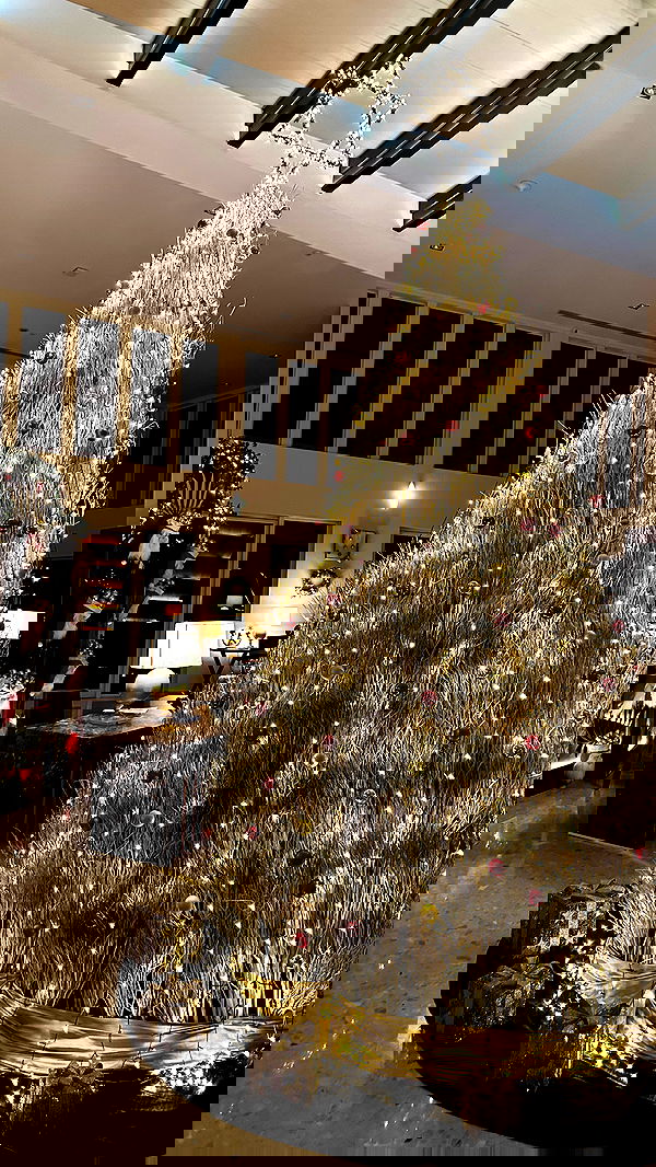 stepanovaofficial stepanovaofficial archive image