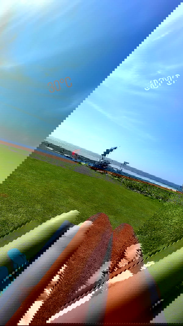 stepanovaofficial stepanovaofficial archive image