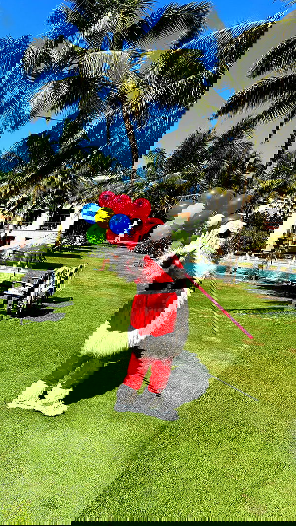 stepanovaofficial stepanovaofficial archive image