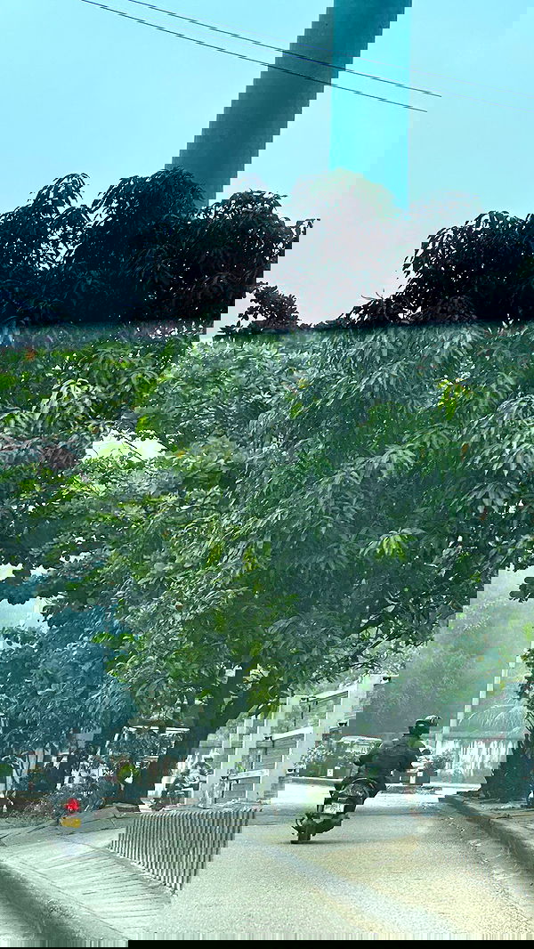 stepanovaofficial stepanovaofficial archive image