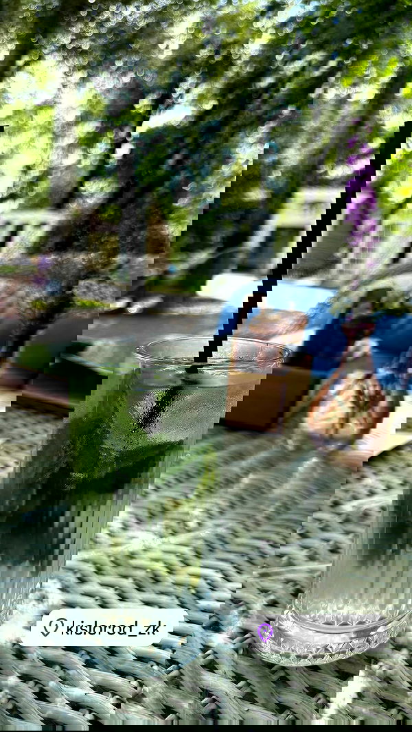 stepanovaofficial stepanovaofficial archive image