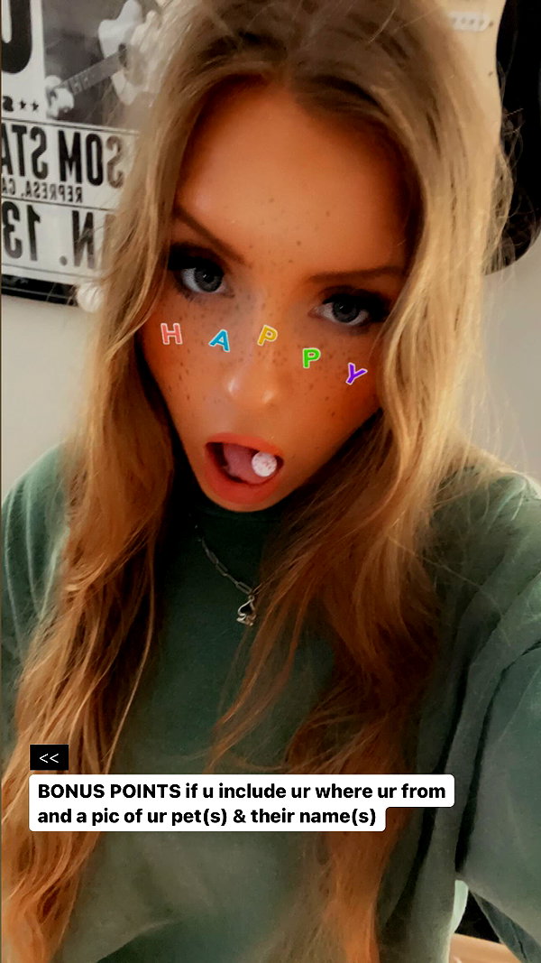 stephfromtwitter stephfromtwitter archive image