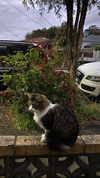 suadaunanh_ne Altpins Profile Picture