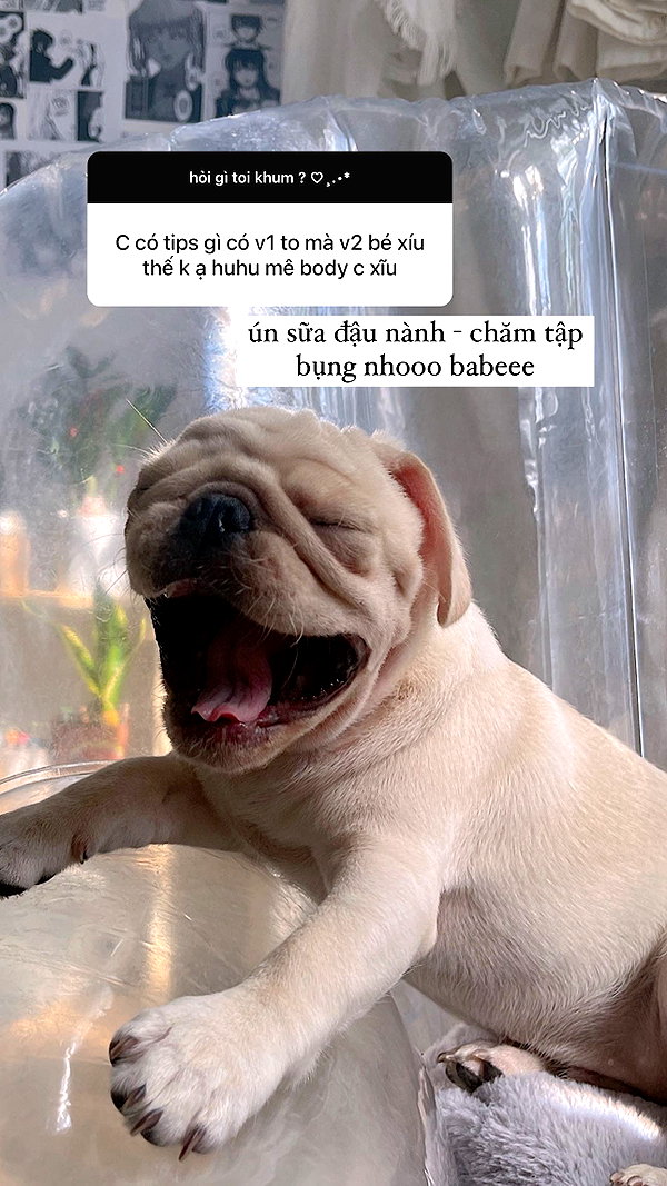 suadaunanh_ne instagram image archive image