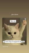 suadaunanh_ne Altpins Profile Picture