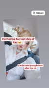 sugarcoatedkiss Altpins Profile Picture