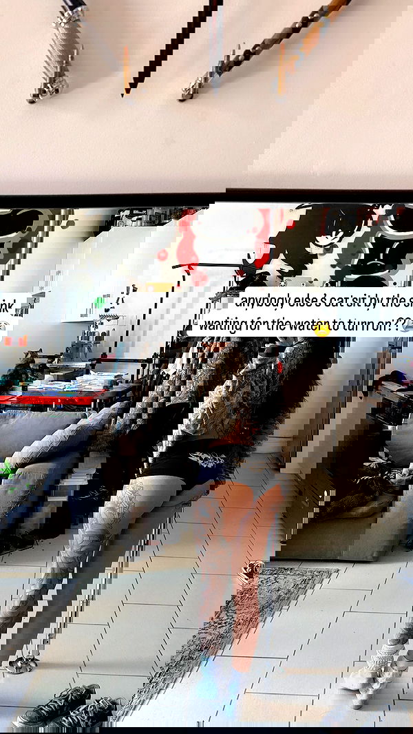 suikomuu suikomuu archive image